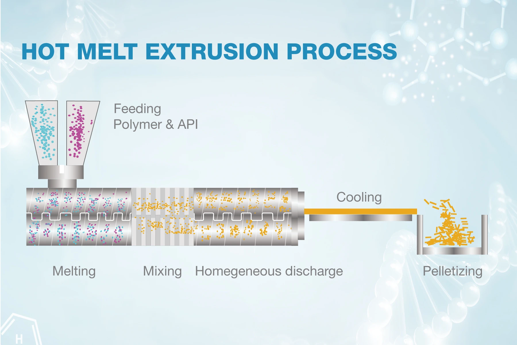 hot melt extrusion process